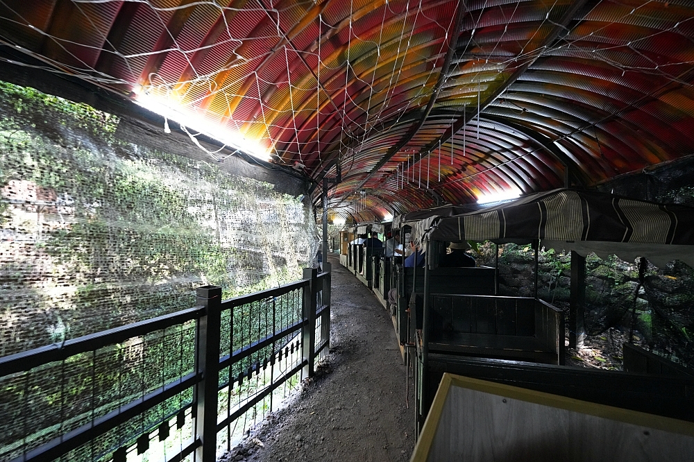 【猴硐坑休閒園區】走進百年瑞三礦坑，搭小火車鑽坑道體驗採煤樂趣 @捲捲頭 ♡ 品味生活