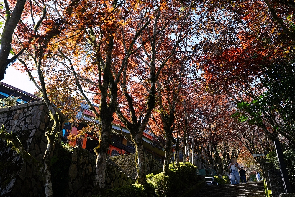 宜蘭太平山景點一日遊|蹦蹦車、見晴懷古步道、鳩之澤溫泉攻略 @捲捲頭 ♡ 品味生活 宜蘭太平山景點一日遊|蹦蹦車、見晴懷古步道、鳩之澤溫泉攻略 @捲捲頭 ♡ 品味生活