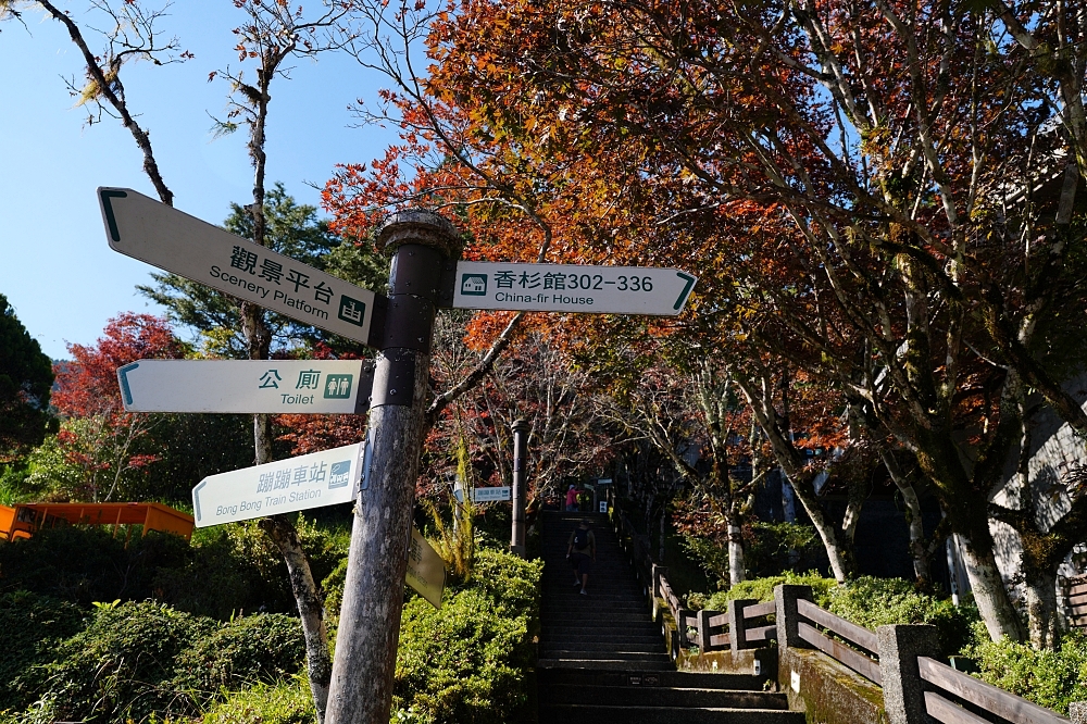 宜蘭太平山景點一日遊|蹦蹦車、見晴懷古步道、鳩之澤溫泉攻略 @捲捲頭 ♡ 品味生活 宜蘭太平山景點一日遊|蹦蹦車、見晴懷古步道、鳩之澤溫泉攻略 @捲捲頭 ♡ 品味生活