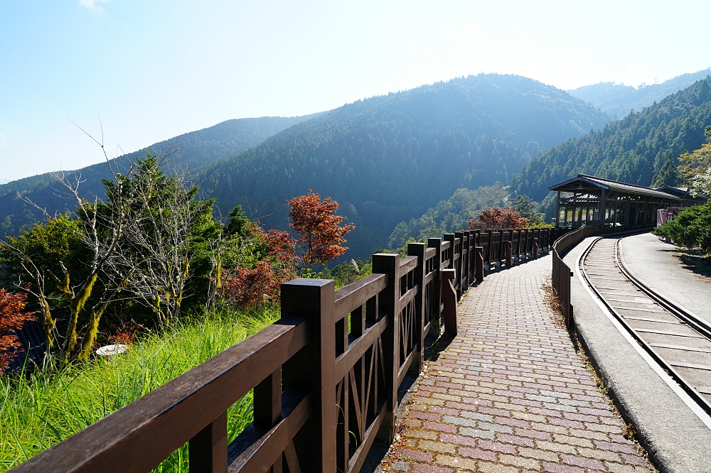 宜蘭太平山景點一日遊|蹦蹦車、見晴懷古步道、鳩之澤溫泉攻略 @捲捲頭 ♡ 品味生活 宜蘭太平山景點一日遊|蹦蹦車、見晴懷古步道、鳩之澤溫泉攻略 @捲捲頭 ♡ 品味生活