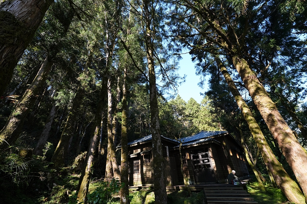 宜蘭太平山景點一日遊|蹦蹦車、見晴懷古步道、鳩之澤溫泉攻略 @捲捲頭 ♡ 品味生活 宜蘭太平山景點一日遊|蹦蹦車、見晴懷古步道、鳩之澤溫泉攻略 @捲捲頭 ♡ 品味生活