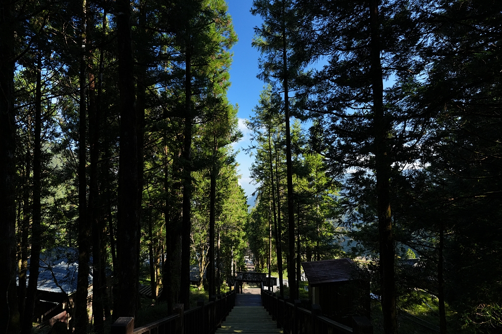 宜蘭太平山景點一日遊|蹦蹦車、見晴懷古步道、鳩之澤溫泉攻略 @捲捲頭 ♡ 品味生活 宜蘭太平山景點一日遊|蹦蹦車、見晴懷古步道、鳩之澤溫泉攻略 @捲捲頭 ♡ 品味生活