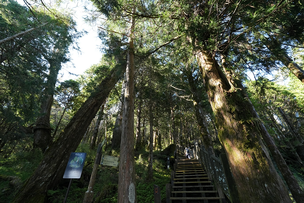 宜蘭太平山景點一日遊|蹦蹦車、見晴懷古步道、鳩之澤溫泉攻略 @捲捲頭 ♡ 品味生活 宜蘭太平山景點一日遊|蹦蹦車、見晴懷古步道、鳩之澤溫泉攻略 @捲捲頭 ♡ 品味生活