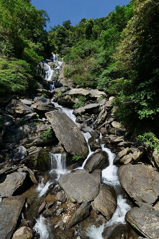 【蝴蝶公園】古圳步道超平緩、賞蝶拱橋賞無敵山景，烏來一日遊 @捲捲頭 ♡ 品味生活
