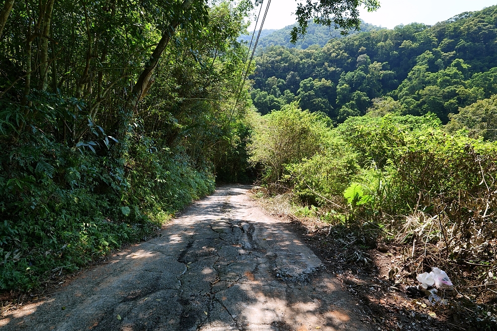 【蝴蝶公園】古圳步道超平緩、賞蝶拱橋賞無敵山景，烏來一日遊 @捲捲頭 ♡ 品味生活