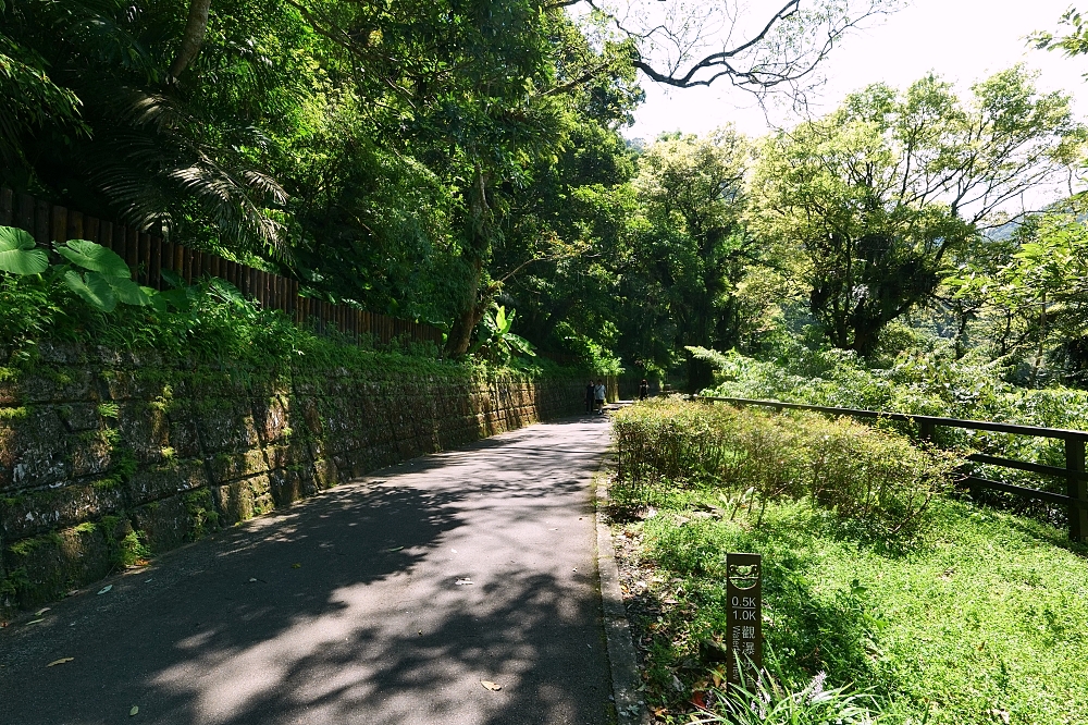 【內洞國家森林遊樂區】 觀瀑步道輕鬆走！900公尺無障礙步道、門票收費與停車全攻略 @捲捲頭 ♡ 品味生活