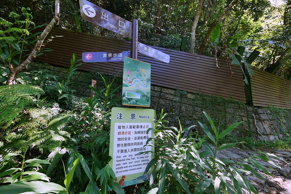 【內洞國家森林遊樂區】 觀瀑步道輕鬆走！900公尺無障礙步道、門票收費與停車全攻略 @捲捲頭 ♡ 品味生活