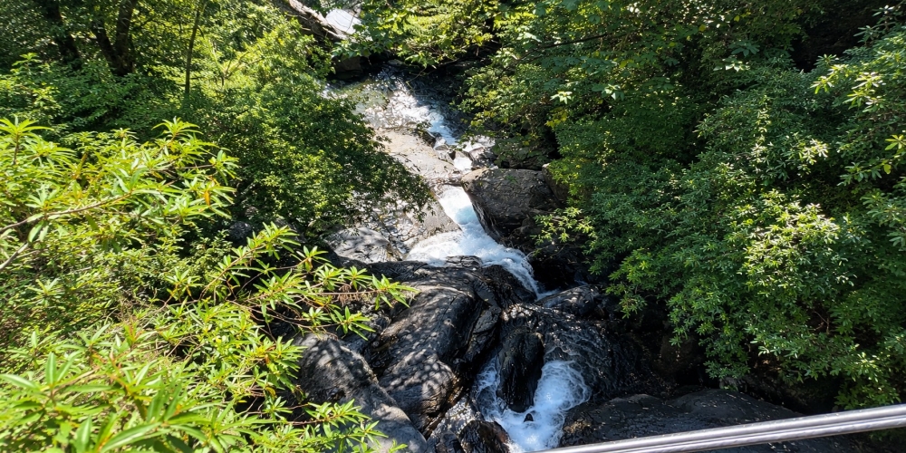 【蝴蝶公園】古圳步道超平緩、賞蝶拱橋賞無敵山景，烏來一日遊 @捲捲頭 ♡ 品味生活