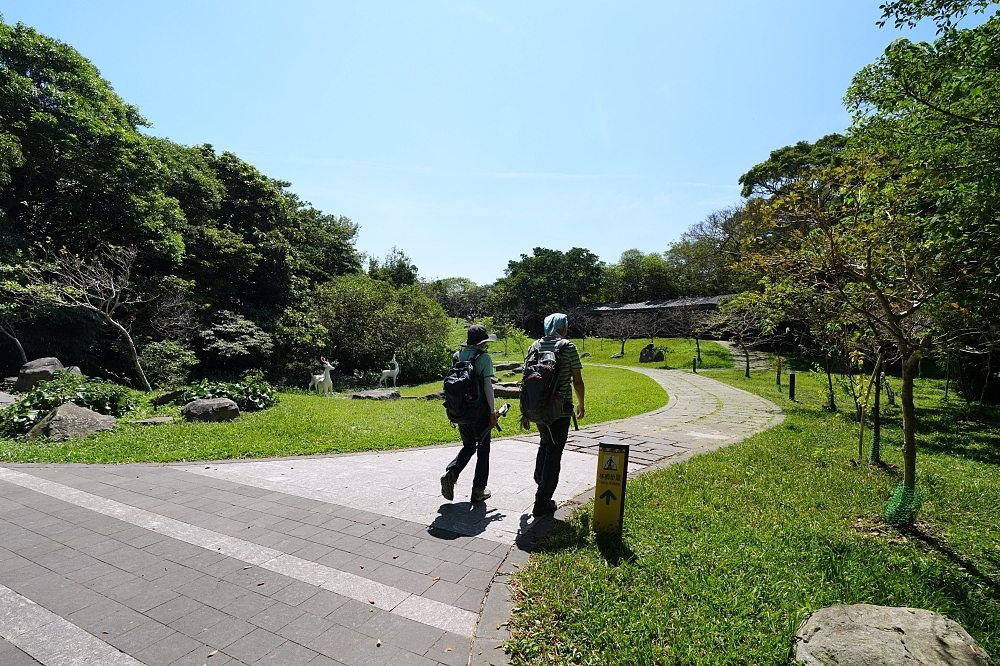【觀音山林梢步道】空中木棧道15分鐘輕鬆走，推車友善、無障礙交通停車攻略 @捲捲頭 ♡ 品味生活