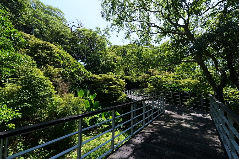 【觀音山林梢步道】空中木棧道15分鐘輕鬆走，推車友善、無障礙交通停車攻略 @捲捲頭 ♡ 品味生活
