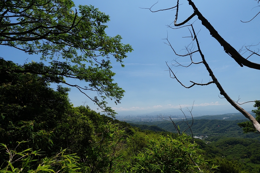 【觀音山林梢步道】空中木棧道15分鐘輕鬆走，推車友善、無障礙交通停車攻略 @捲捲頭 ♡ 品味生活