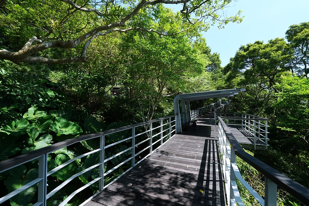 【觀音山林梢步道】空中木棧道15分鐘輕鬆走，推車友善、無障礙交通停車攻略 @捲捲頭 ♡ 品味生活