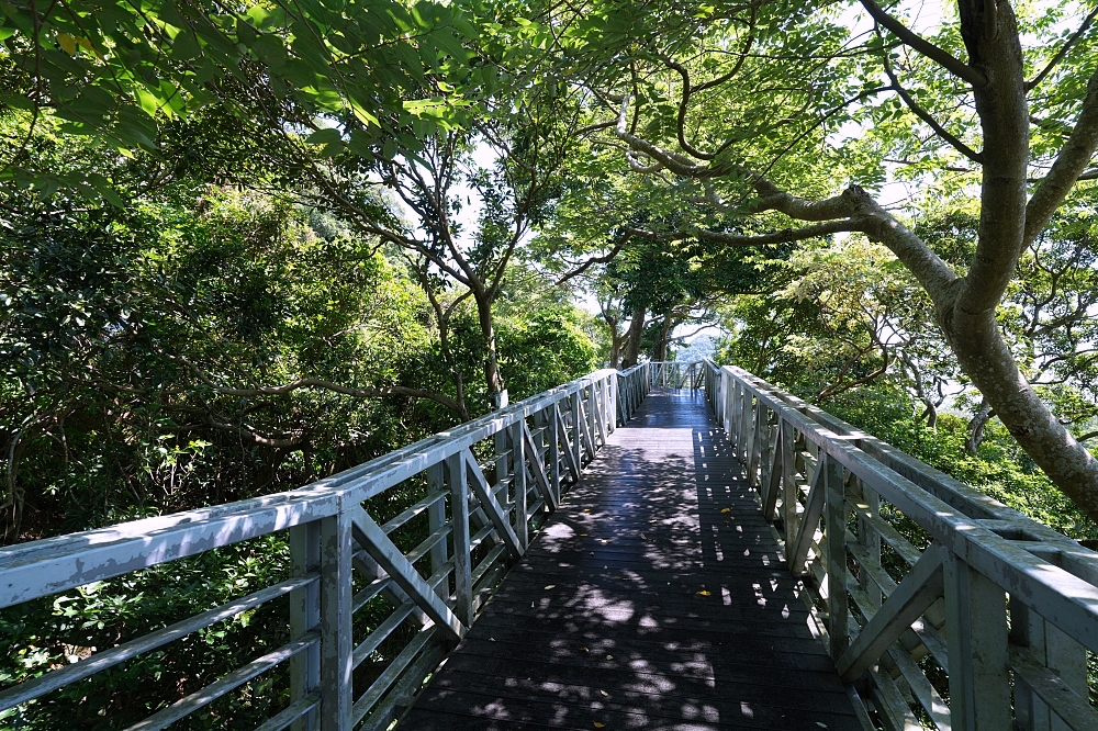 【觀音山林梢步道】空中木棧道15分鐘輕鬆走，推車友善、無障礙交通停車攻略 @捲捲頭 ♡ 品味生活