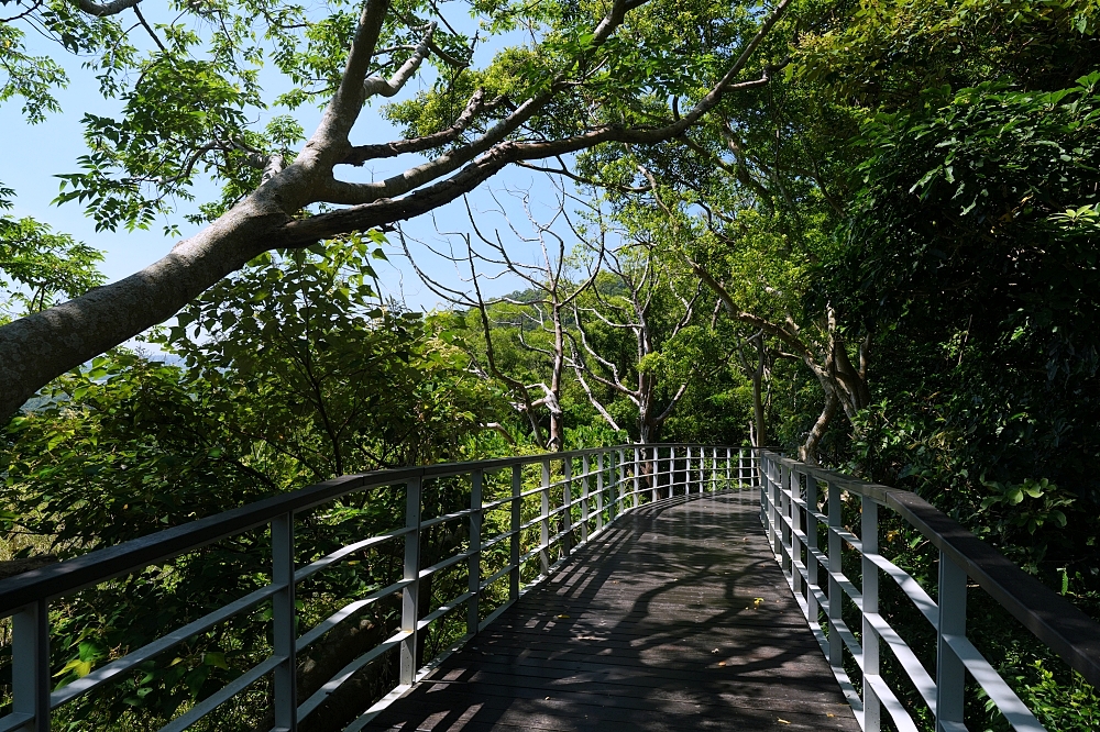 【觀音山林梢步道】空中木棧道15分鐘輕鬆走，推車友善、無障礙交通停車攻略 @捲捲頭 ♡ 品味生活