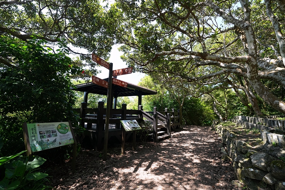 【牛港稜步道】觀音山隱藏版大景,直擊台北港與淡江大橋絕美海景 @捲捲頭 ♡ 品味生活 【牛港稜步道】觀音山隱藏版大景,直擊台北港與淡江大橋絕美海景 @捲捲頭 ♡ 品味生活