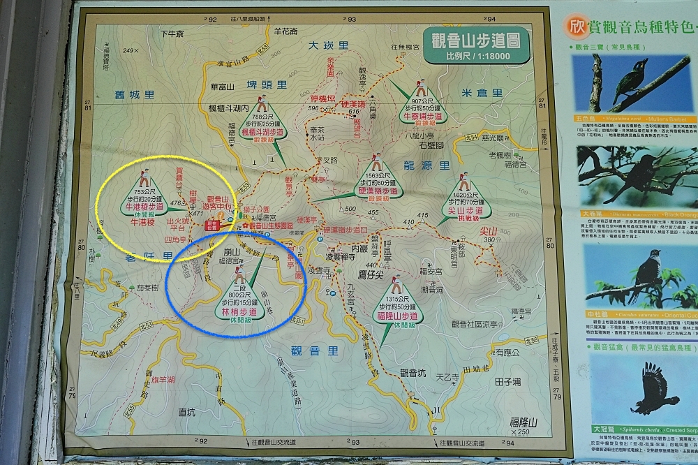 【牛港稜步道】觀音山隱藏版大景，直擊台北港與淡江大橋絕美海景 @捲捲頭 ♡ 品味生活