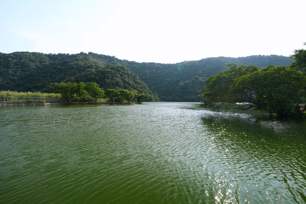 【大湖風景特定區】2026宜蘭免費秘境！四季變色天鵝湖、交通停車懶人包 @捲捲頭 ♡ 品味生活