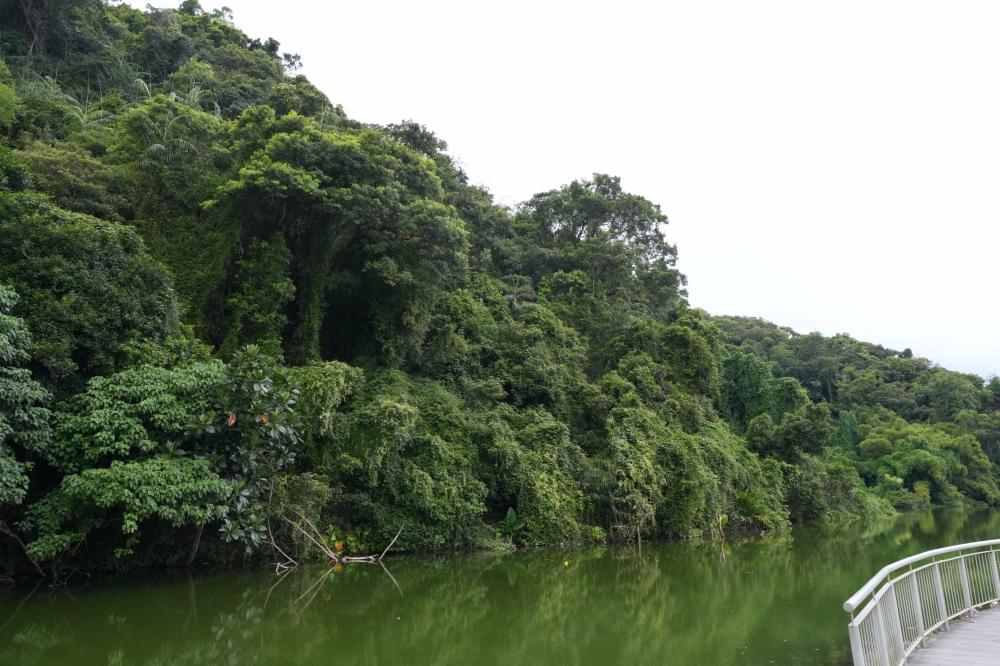 【大湖風景特定區】2026宜蘭免費秘境！四季變色天鵝湖、交通停車懶人包 @捲捲頭 ♡ 品味生活