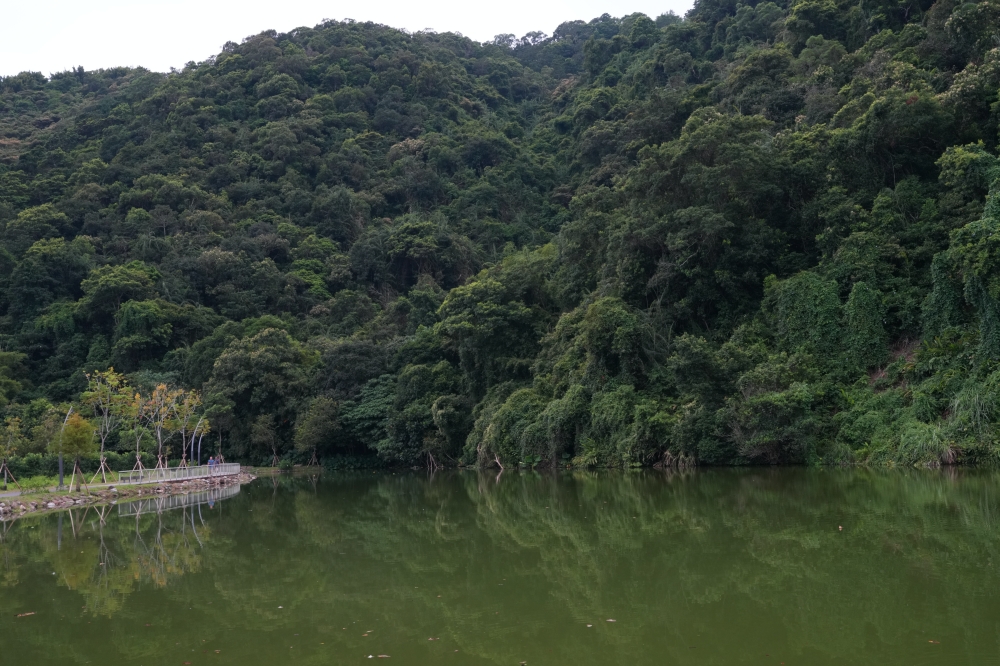 【大湖風景特定區】2026宜蘭免費秘境！四季變色天鵝湖、交通停車懶人包 @捲捲頭 ♡ 品味生活