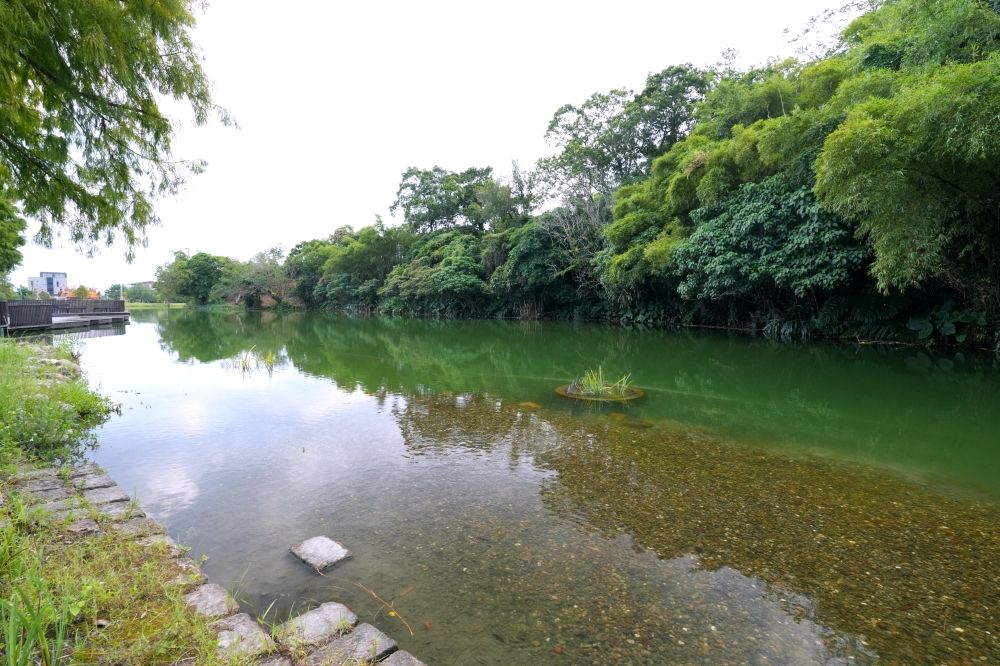 【大湖風景特定區】2026宜蘭免費秘境！四季變色天鵝湖、交通停車懶人包 @捲捲頭 ♡ 品味生活