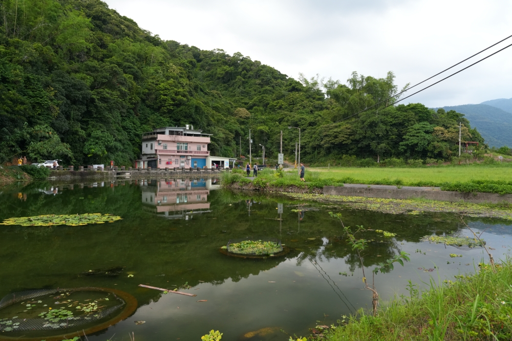 【大湖風景特定區】2026宜蘭免費秘境！四季變色天鵝湖、交通停車懶人包 @捲捲頭 ♡ 品味生活