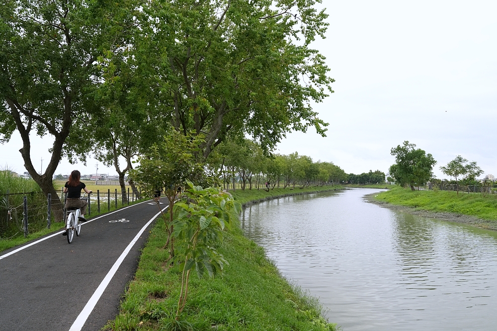 【五結水岸花樹廊道】宜蘭五結私房景點,舊河道大變身!雙向自行車道、秋日悠閒散步全攻略 @捲捲頭 ♡ 品味生活 【五結水岸花樹廊道】宜蘭五結私房景點,舊河道大變身!雙向自行車道、秋日悠閒散步全攻略 @捲捲頭 ♡ 品味生活