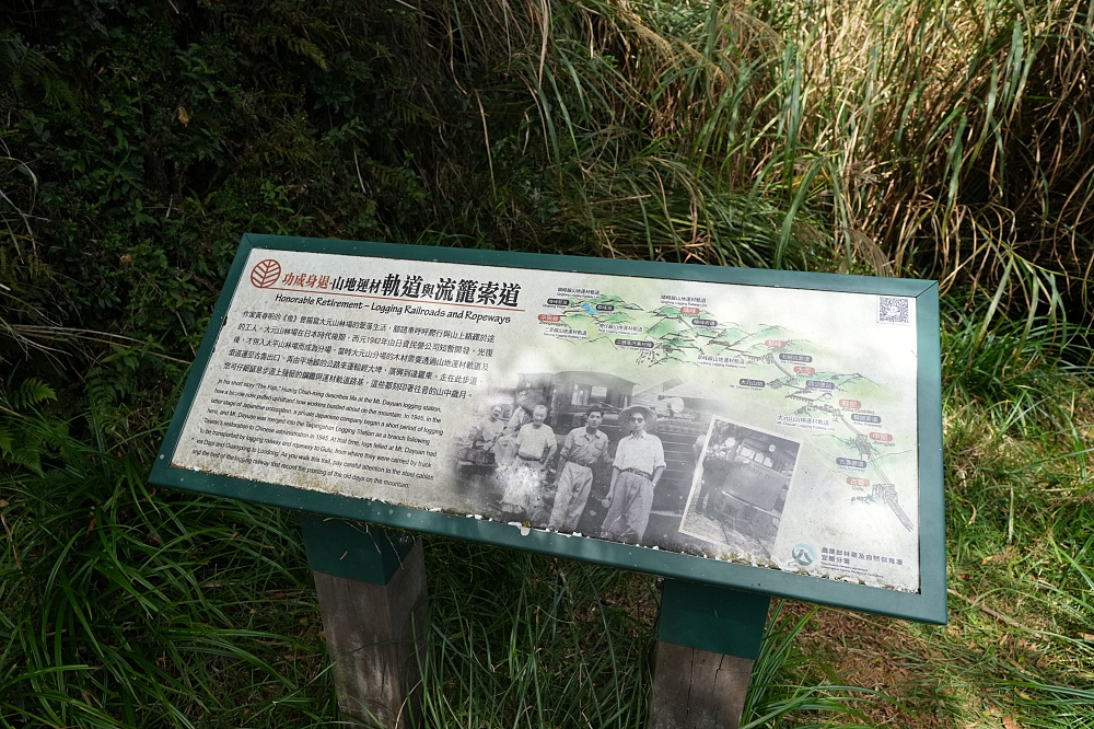【台灣山毛櫸國家步道攻略】太平山秋季金黃秘境、難度與即時路況整理 @捲捲頭 ♡ 品味生活