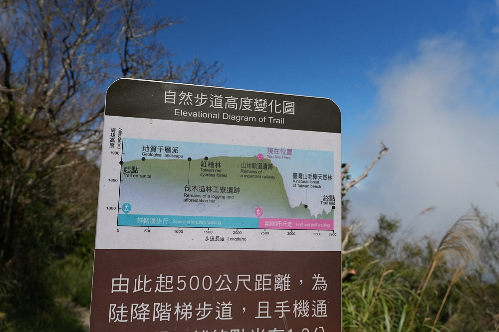 【台灣山毛櫸國家步道攻略】太平山秋季金黃秘境、難度與即時路況整理 @捲捲頭 ♡ 品味生活