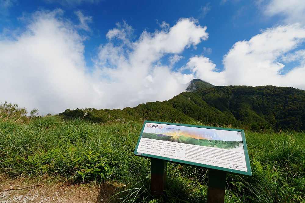 【台灣山毛櫸國家步道攻略】太平山秋季金黃秘境、難度與即時路況整理 @捲捲頭 ♡ 品味生活