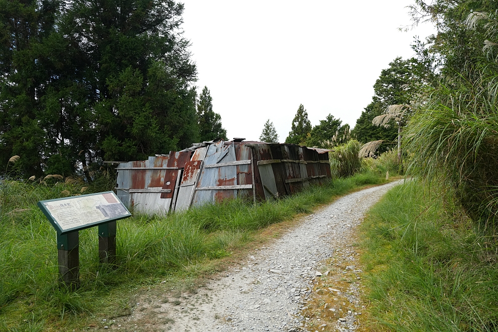 【台灣山毛櫸國家步道攻略】太平山秋季金黃秘境、難度與即時路況整理 @捲捲頭 ♡ 品味生活