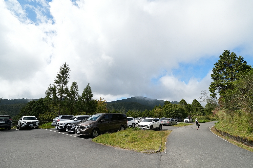 【台灣山毛櫸國家步道攻略】太平山秋季金黃秘境、難度與即時路況整理 @捲捲頭 ♡ 品味生活
