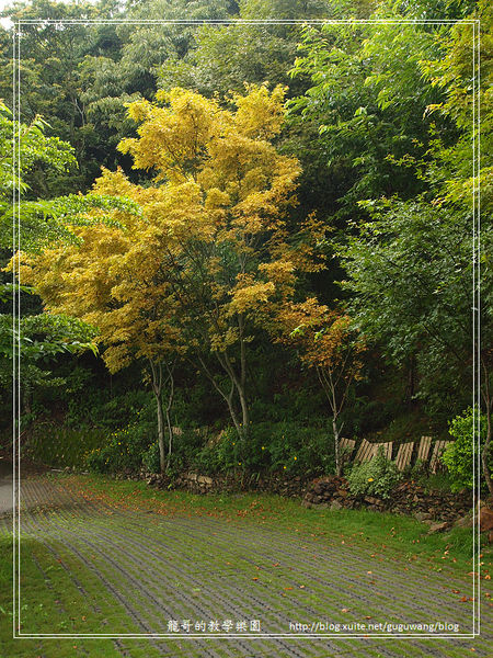 清境住宿》歐風小鎮。夢幻歐洲建築，坐在陽台望著老英格蘭以及遠處群山，晚上在陽台還能直接品酒觀星～ @捲捲頭 ♡ 品味生活