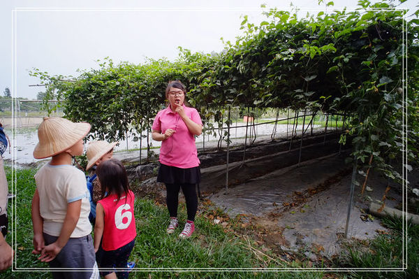 ＜台南景點> 台南快閃親子一日遊（下）。南瀛天文教育園區 + 奇美善化農場～ @捲捲頭 ♡ 品味生活