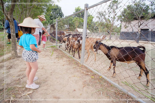 ＜台南景點> 台南快閃親子一日遊（下）。南瀛天文教育園區 + 奇美善化農場～ @捲捲頭 ♡ 品味生活