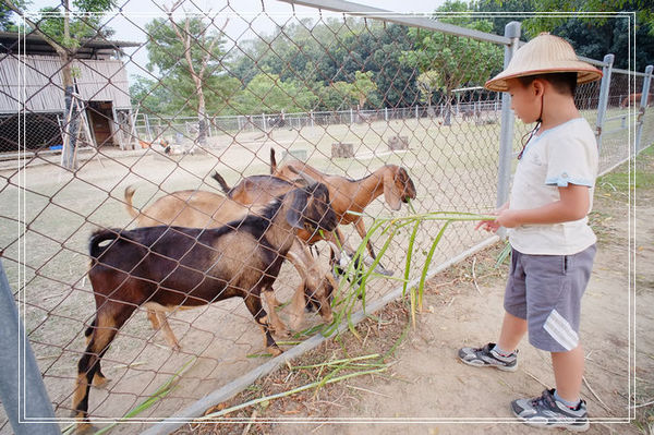 ＜台南景點> 台南快閃親子一日遊（下）。南瀛天文教育園區 + 奇美善化農場～ @捲捲頭 ♡ 品味生活