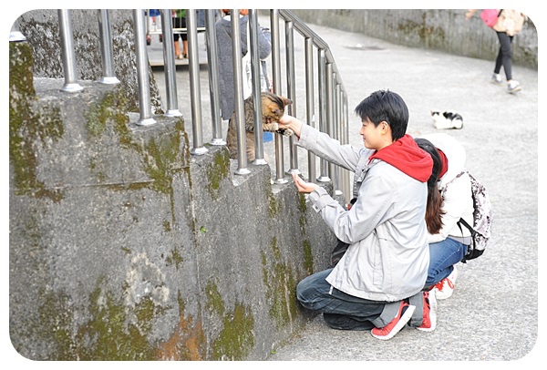 【猴硐貓村】貓奴必到，世界六大貓咪天堂樂園，順遊山城小鎮散步喝咖啡～ @捲捲頭 ♡ 品味生活