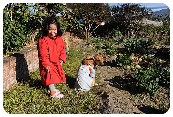 <集集鹿谷住宿> 到鄉下住一晚，南投鹿谷農村老爺民宿 @捲捲頭 ♡ 品味生活