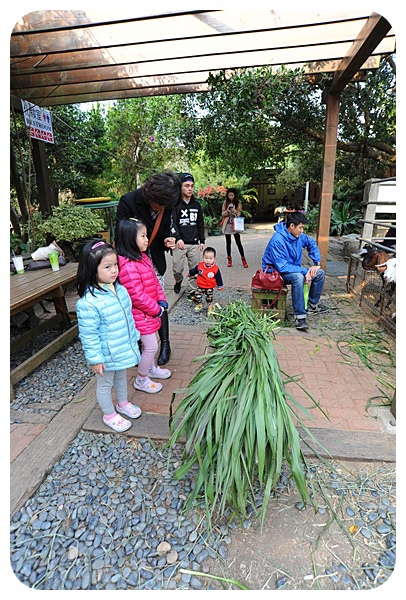 台中益健乳羊牧場》假日熱門景點，免門票！大把牧草銅板價就能餵羊咩咩，羊多到爆的迷你牧場 @捲捲頭 ♡ 品味生活