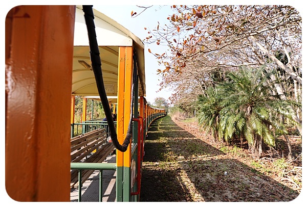 台南烏樹林休閒園區，火車迷必看，坐五分車逛甘蔗田吃糖廠冰棒，還能順遊吃超美味的東山鴨頭！ @捲捲頭 ♡ 品味生活