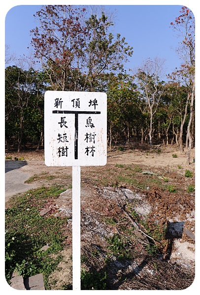 台南烏樹林休閒園區，火車迷必看，坐五分車逛甘蔗田吃糖廠冰棒，還能順遊吃超美味的東山鴨頭！ @捲捲頭 ♡ 品味生活