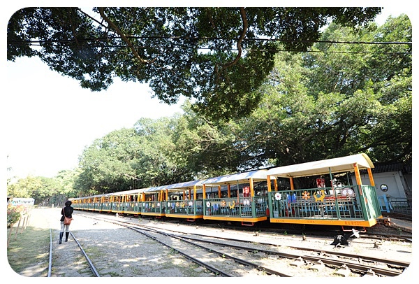 台南烏樹林休閒園區，火車迷必看，坐五分車逛甘蔗田吃糖廠冰棒，還能順遊吃超美味的東山鴨頭！ @捲捲頭 ♡ 品味生活