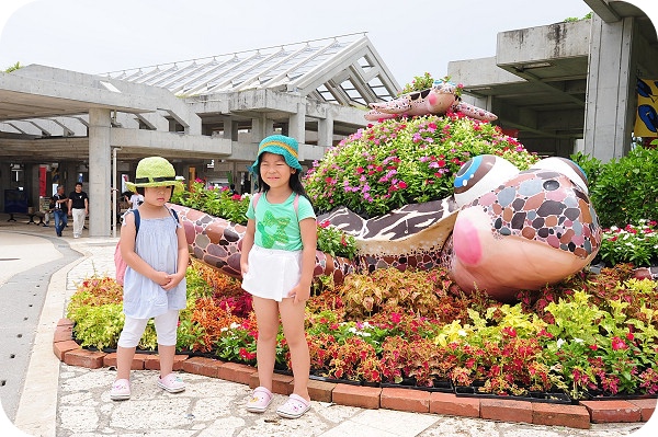 【沖繩景點】美ら海水族館。漫遊在室內最大水族箱裡～ @捲捲頭 ♡ 品味生活