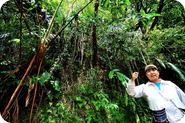 瓏山林館外行程。小小獵人體驗：竹筒飯DIY，射箭，設陷阱，原住民餐，東岳湧泉 @捲捲頭 ♡ 品味生活