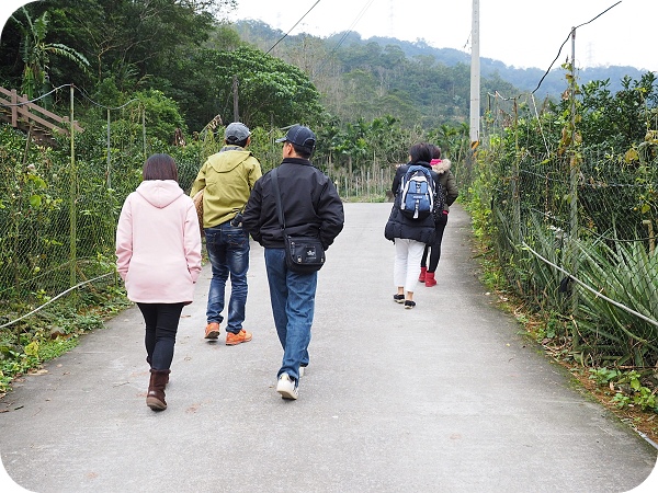 ▋稻田裡的餐桌 ▋月光下的饗宴，親手摘果實，體驗田園樂。意想不到的浪漫晚餐。幸福果食！ @捲捲頭 ♡ 品味生活