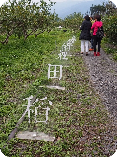 ▋稻田裡的餐桌 ▋月光下的饗宴，親手摘果實，體驗田園樂。意想不到的浪漫晚餐。幸福果食！ @捲捲頭 ♡ 品味生活