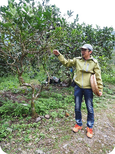 ▋稻田裡的餐桌 ▋月光下的饗宴，親手摘果實，體驗田園樂。意想不到的浪漫晚餐。幸福果食！ @捲捲頭 ♡ 品味生活