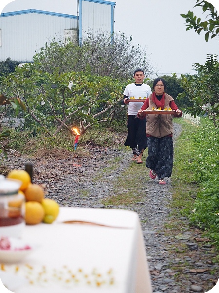 ▋稻田裡的餐桌 ▋月光下的饗宴，親手摘果實，體驗田園樂。意想不到的浪漫晚餐。幸福果食！ @捲捲頭 ♡ 品味生活