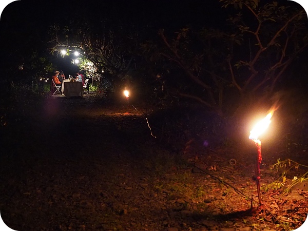 ▋稻田裡的餐桌 ▋月光下的饗宴，親手摘果實，體驗田園樂。意想不到的浪漫晚餐。幸福果食！ @捲捲頭 ♡ 品味生活