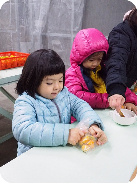 ▋稻田裡的餐桌 ▋月光下的饗宴，親手摘果實，體驗田園樂。意想不到的浪漫晚餐。幸福果食！ @捲捲頭 ♡ 品味生活