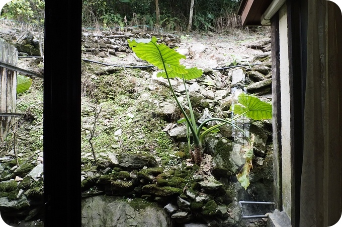 花蓮住宿》梯田山民宿。九彎直上五百米，無敵山景，星空滿點，隱藏版特色小木屋在這裡！ @捲捲頭 ♡ 品味生活